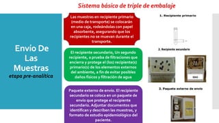 Envío De
Las
Muestras
etapa pre-analítica
Las muestras en recipiente primario
(medio de transporte) se colocarán
en una caja, rodeándolas con papel
absorbente, asegurando que los
recipientes no se muevan durante el
transporte.
Sistema básico de triple de embalaje
El recipiente secundario, Un segundo
recipiente, a prueba de filtraciones que
encierra y protege el (los) recipiente(s)
primario(s) de los elementos externos
del ambiente, a fin de evitar posibles
daños físicos y filtración de agua
Paquete externo de envío. El recipiente
secundario se coloca en un paquete de
envío que protege el recipiente
secundario. Adjuntar documentos que
identifican y describen las muestras, y
formato de estudio epidemiológico del
paciente.
 