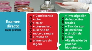 Examen
directo
Etapa analítica macroscópico
♦ Consistencia
♦ olor
♦ color
♦ presencia o
ausencia de
moco o sangre
♦ restos de
alimentos sin
digerir
microscópico
♦ Investigación
de leucocitos
fecales
♦ Tinción azul
de metileno
♦ tinción de
Gram
♦Realización de
pruebas
bioquímicas
 