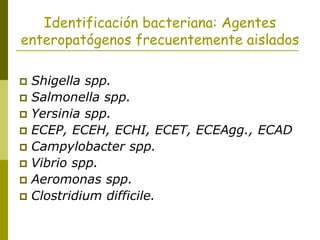 Identificación bacteriana: Agentes
enteropatógenos frecuentemente aislados
 Shigella spp.
 Salmonella spp.
 Yersinia spp.
 ECEP, ECEH, ECHI, ECET, ECEAgg., ECAD
 Campylobacter spp.
 Vibrio spp.
 Aeromonas spp.
 Clostridium difficile.
 