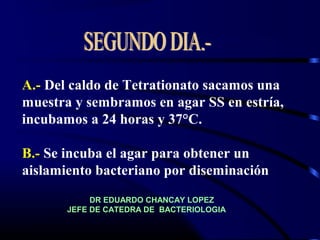 A.- Del caldo de Tetrationato sacamos una
muestra y sembramos en agar SS en estría,
incubamos a 24 horas y 37°C.
B.- Se incuba el agar para obtener un
aislamiento bacteriano por diseminación
DR EDUARDO CHANCAY LOPEZ
JEFE DE CATEDRA DE BACTERIOLOGIA
 
