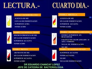 POSIBLE ESCHERICHIA COLI
AUSENCIA DE SH2
CON GAS DE FERMENTACION
SUPERFICIE ACIDA
FONDO ACIDO
POSIBLE SHIGELLA
POSIBLE PROTEUS
POSIBLE PSEUDOMONA AERUGINOSA
POSIBLE ALCALIGENES FECALIS
POSIBLE SALMONELLA TIFOSA
SUPERFICIE ALCALINO
FONDO ALCALINO
NO SH2
NO GAS DE FERMENTACION
ABUNDANTE DE SH2
SIN GAS DE FERMENTACION
SUPERFICIE ALCALINA
FONDO ACIDO
FONDO Y SUPERFICIE SIN
REACCIONAR
COLONIAS DE COLOR AZOGADO – O
AZUL -VERDOSO
NO GAS DE FERMENTACION
NO SH2
DISCRETO PRESENCIA DE SH2
SIN GAS DE FERMENTACION
SUPERFICIE ALCALINA
FONDO ACIDO
AUSENCIA DE SH2
SIN GAS DE FERMENTACION
SUPERFICIE ALCALINA
FONDO ACIDO
DR EDUARDO CHANCAY LOPEZ
JEFE DE CATEDRA DE BACTERIOLOGIA
 