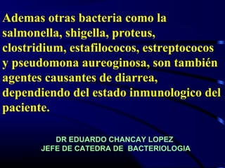 Ademas otras bacteria como la
salmonella, shigella, proteus,
clostridium, estafilococos, estreptococos
y pseudomona aureoginosa, son también
agentes causantes de diarrea,
dependiendo del estado inmunologico del
paciente.
DR EDUARDO CHANCAY LOPEZ
JEFE DE CATEDRA DE BACTERIOLOGIA
 