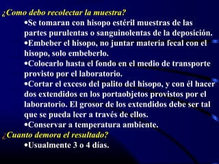 ¿Como debo recolectar la muestra?
•Se tomaran con hisopo estéril muestras de las
partes purulentas o sanguinolentas de la deposición.
•Embeber el hisopo, no juntar materia fecal con el
hisopo, solo embeberlo.
•Colocarlo hasta el fondo en el medio de transporte
provisto por el laboratorio.
•Cortar el exceso del palito del hisopo, y con él hacer
dos extendidos en los portaobjetos provistos por el
laboratorio. El grosor de los extendidos debe ser tal
que se pueda leer a través de ellos.
•Conservar a temperatura ambiente.
¿Cuanto demora el resultado?
•Usualmente 3 o 4 días.
 