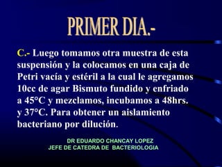 C.- Luego tomamos otra muestra de esta
suspensión y la colocamos en una caja de
Petri vacía y estéril a la cual le agregamos
10cc de agar Bismuto fundido y enfriado
a 45°C y mezclamos, incubamos a 48hrs.
y 37°C. Para obtener un aislamiento
bacteriano por dilución.
DR EDUARDO CHANCAY LOPEZ
JEFE DE CATEDRA DE BACTERIOLOGIA
 