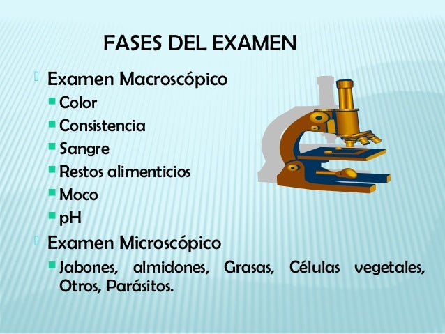 Los parásitos que viven en la persona vikipediya