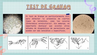 Graham Test Labcorp COPROLOGICO.pdf