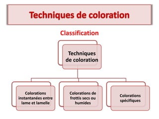 Classification
Techniques
de coloration
Colorations
instantanées entre
lame et lamelle
Colorations de
frottis secs ou
humides
Colorations
spécifiques
 