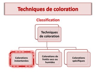 Classification
Techniques
de coloration
Colorations
instantanées
Colorations de
frottis secs ou
humides
Colorations
spécifiques
 