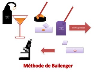 Eau phy
0,9%
HomogénéiserCOLORANT
DE
BAILENGER
 