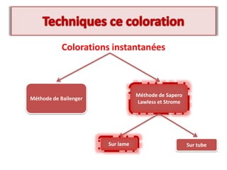 Colorations instantanées
Méthode de Bailenger
Méthode de Sapero
Lawless et Strome
Sur lame Sur tube
 