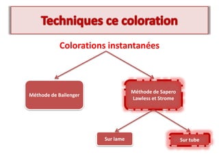 Colorations instantanées
Méthode de Bailenger
Méthode de Sapero
Lawless et Strome
Sur lame Sur tube
 
