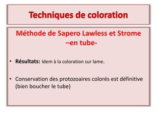 Méthode de Sapero Lawless et Strome
–en tube-
• Résultats: Idem à la coloration sur lame.
• Conservation des protozoaires colorés est définitive
(bien boucher le tube)
 