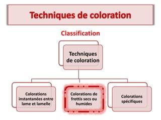 Classification
Techniques
de coloration
Colorations
instantanées entre
lame et lamelle
Colorations de
frottis secs ou
humides
Colorations
spécifiques
 
