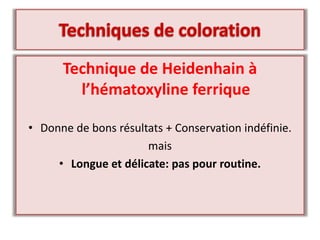 Technique de Heidenhain à
l’hématoxyline ferrique
• Donne de bons résultats + Conservation indéfinie.
mais
• Longue et délicate: pas pour routine.
 