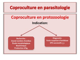 Coproculture en protozoologie
Indication:
Recherche :
Grand nombre d’amibes
Étude morphologique
Biochimique
Production d’Ag.
Diagnostic:
Forte suspicion d’amibiase
EPS successifs (_).
 