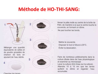 Méthode de HO-THI-SANG:
 