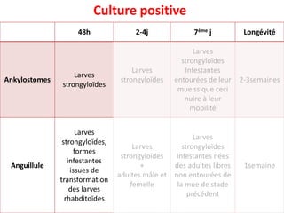 48h 2-4j 7ème j Longévité
Ankylostomes
Larves
strongyloïdes
Larves
strongyloïdes
Larves
strongyloïdes
Infestantes
entourées de leur
mue ss que ceci
nuire à leur
mobilité
2-3semaines
Anguillule
Larves
strongyloïdes,
formes
infestantes
issues de
transformation
des larves
rhabditoïdes
Larves
strongyloïdes
+
adultes mâle et
femelle
Larves
strongyloïdes
Infestantes nées
des adultes libres
non entourées de
la mue de stade
précédent
1semaine
Culture positive
 
