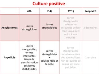 48h 2-4j 7ème j Longévité
Ankylostomes
Larves
strongyloïdes
Larves
strongyloïdes
Larves
strongyloïdes
Infestantes
entourées de leur
mue ss que ceci
nuire à leur
mobilité
2-3semaines
Anguillule
Larves
strongyloïdes,
formes
infestantes
issues de
transformation
des larves
rhabditoïdes
Larves
strongyloïdes
+
adultes mâle et
femelle
Larves
strongyloïdes
Infestantes nées
des adultes libres
non entourées de
la mue de stade
précédent
1semaine
Culture positive
 