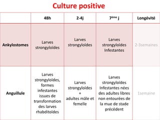 48h 2-4j 7ème j Longévité
Ankylostomes
Larves
strongyloïdes
Larves
strongyloïdes
Larves
strongyloïdes
Infestantes
2-3semaines
Anguillule
Larves
strongyloïdes,
formes
infestantes
issues de
transformation
des larves
rhabditoïdes
Larves
strongyloïdes
+
adultes mâle et
femelle
Larves
strongyloïdes
Infestantes nées
des adultes libres
non entourées de
la mue de stade
précédent
1semaine
Culture positive
 