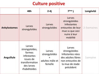 48h 2-4j 7ème j Longévité
Ankylostomes
Larves
strongyloïdes
Larves
strongyloïdes
Larves
strongyloïdes
Infestantes
entourées de leur
mue ss que ceci
nuire à leur
mobilité
2-3semaines
Anguillule
Larves
strongyloïdes,
formes
infestantes
issues de
transformation
des larves
rhabditoïdes
Larves
strongyloïdes
+
adultes mâle et
femelle
Larves
strongyloïdes
Infestantes nées
des adultes libres
non entourées de
la mue de stade
précédent
1semaine
Culture positive
 