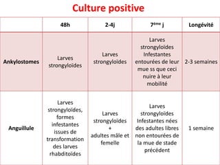 48h 2-4j 7ème j Longévité
Ankylostomes
Larves
strongyloïdes
Larves
strongyloïdes
Larves
strongyloïdes
Infestantes
entourées de leur
mue ss que ceci
nuire à leur
mobilité
2-3 semaines
Anguillule
Larves
strongyloïdes,
formes
infestantes
issues de
transformation
des larves
rhabditoïdes
Larves
strongyloïdes
+
adultes mâle et
femelle
Larves
strongyloïdes
Infestantes nées
des adultes libres
non entourées de
la mue de stade
précédent
1 semaine
Culture positive
 