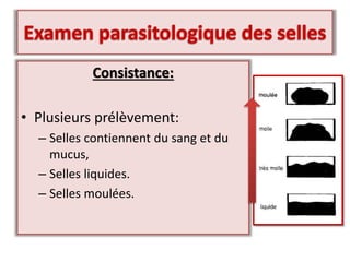 Consistance:
• Plusieurs prélèvement:
– Selles contiennent du sang et du
mucus,
– Selles liquides.
– Selles moulées.
 