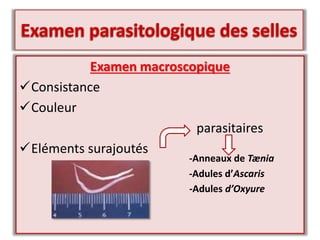 Examen macroscopique
Consistance
Couleur
parasitaires
Eléments surajoutés
-Adules d’Oxyure
-Anneaux de Tænia
-Adules d’Ascaris
 