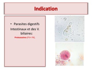 • Parasites digestifs
Intestinaux et des V.
biliaires:
Protozoaires (FV+ FK),
 