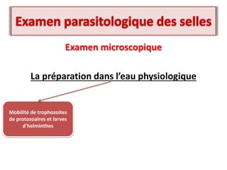 Examen microscopique
La préparation dans l’eau physiologique
Mobilité de trophozoites
de protozoaires et larves
d'helminthes
 