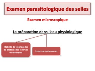 Examen microscopique
La préparation dans l’eau physiologique
Mobilité de trophozoites
de protozoaires et larves
d'helminthes
kystes de protozoaires
 