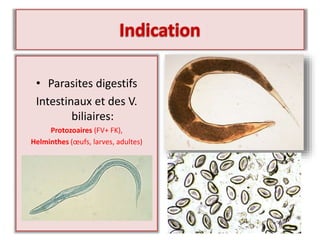 • Parasites digestifs
Intestinaux et des V.
biliaires:
Protozoaires (FV+ FK),
Helminthes (œufs, larves, adultes)
 