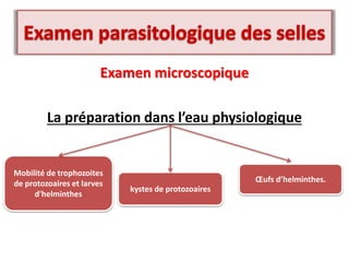 Examen microscopique
La préparation dans l’eau physiologique
Mobilité de trophozoites
de protozoaires et larves
d'helminthes
kystes de protozoaires
Œufs d’helminthes.
 
