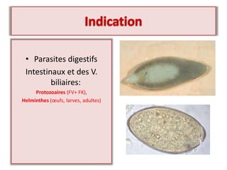 • Parasites digestifs
Intestinaux et des V.
biliaires:
Protozoaires (FV+ FK),
Helminthes (œufs, larves, adultes)
 