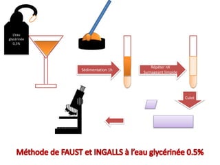 L’eau
glycérinée
0,5%
Sédimentation 1h
Répéter nX
Surnageant limpide
Culot
 