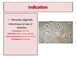 • Parasites digestifs
Intestinaux et des V.
biliaires:
Protozoaires (FV+ FK),
Helminthes (œufs, larves, adultes)
Partie de parasite (anneaux de Tænia)
Champignons (Candida)
 