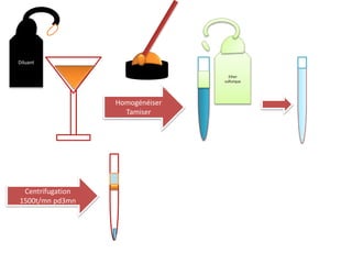 Diluant
Homogénéiser
Tamiser
Ether
sulfurique
Centrifugation
1500t/mn pd3mn
 
