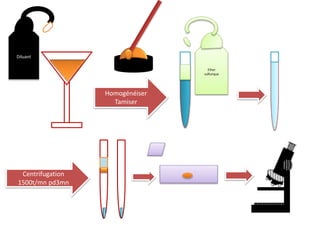 Diluant
Homogénéiser
Tamiser
Ether
sulfurique
Centrifugation
1500t/mn pd3mn
 