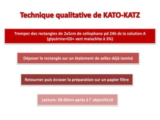 Tremper des rectangles de 2x5cm de cellophane pd 24h ds la solution A
(glycérine+ED+ vert malachite à 3%)
Déposer le rectangle sur un étalement de selles déjà tamisé
Retourner puis écraser la préparation sur un papier filtre
Lecture: 30-60mn après à l’ objectifx10
 