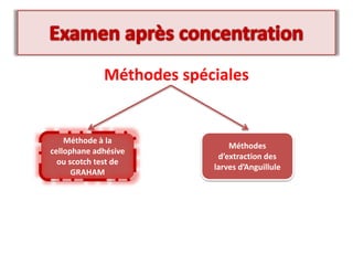 Méthodes spéciales
Méthode à la
cellophane adhésive
ou scotch test de
GRAHAM
Méthodes
d’extraction des
larves d’Anguillule
 
