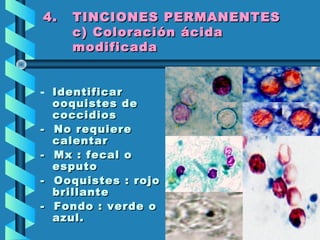 4.4. TINCIONES PERMANENTESTINCIONES PERMANENTES
c) Coloración ácidac) Coloración ácida
modificadamodificada
- IdentificarIdentificar
ooquistes deooquistes de
coccidioscoccidios
- No requiere- No requiere
calentarcalentar
- Mx : fecal o- Mx : fecal o
esputoesputo
- Ooquistes : rojo- Ooquistes : rojo
brillantebrillante
- Fondo : verde o- Fondo : verde o
azul.azul.
 