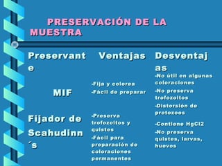PRESERVACIÓN DE LAPRESERVACIÓN DE LA
MUESTRAMUESTRA
PreservantPreservant
ee
VentajasVentajas DesventajDesventaj
asas
MIFMIF
-Fija y coloreaFija y colorea
-Fácil de prepararFácil de preparar
-No útil en algunasNo útil en algunas
coloracionescoloraciones
-No preservaNo preserva
trofozoitostrofozoitos
-Distorsión deDistorsión de
protozoosprotozoos
Fijador deFijador de
ScahudinnScahudinn
´s´s
-PreservaPreserva
trofozoitos ytrofozoitos y
quistesquistes
-Fácil paraFácil para
preparación depreparación de
coloracionescoloraciones
permanentespermanentes
-Contiene HgCl2Contiene HgCl2
-No preservaNo preserva
quistes, larvas,quistes, larvas,
huevoshuevos
 