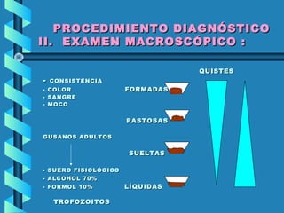 PROCEDIMIENTO DIAGNÓSTICOPROCEDIMIENTO DIAGNÓSTICO
II. EXAMEN MACROSCÓPICO :II. EXAMEN MACROSCÓPICO :
QUISTESQUISTES
-- CONSISTENCIACONSISTENCIA
- COLOR- COLOR FORMADASFORMADAS
- SANGRE- SANGRE
- MOCO- MOCO
PASTOSASPASTOSAS
GUSANOS ADULTOSGUSANOS ADULTOS
SUELTASSUELTAS
- SUERO FISIOLÓGICO- SUERO FISIOLÓGICO
- ALCOHOL 70%- ALCOHOL 70%
- FORMOL 10%- FORMOL 10% LÍQUIDASLÍQUIDAS
TROFOZOITOSTROFOZOITOS
 