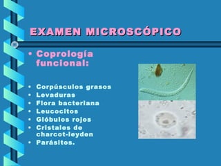 EXAMEN MICROSCÓPICOEXAMEN MICROSCÓPICO
• Coprología
funcional:
• Corpúsculos grasos
• Levaduras
• Flora bacteriana
• Leucocitos
• Glóbulos rojos
• Cristales de
charcot-leyden
• Parásitos.
 