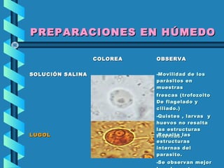 PREPARACIONES EN HÚMEDOPREPARACIONES EN HÚMEDO
COLOREACOLOREA OBSERVAOBSERVA
SOLUCIÓN SALINASOLUCIÓN SALINA -Movilidad de losMovilidad de los
parásitos enparásitos en
muestrasmuestras
frescas (trofozoitofrescas (trofozoito
De flagelado yDe flagelado y
ciliado.)ciliado.)
-Quistes , larvas yQuistes , larvas y
huevos no resaltahuevos no resalta
las estructuraslas estructuras
Internas.Internas.LUGOLLUGOL -Resalta lasResalta las
estructurasestructuras
internas delinternas del
parasito.parasito.
-Se observan mejorSe observan mejor
 