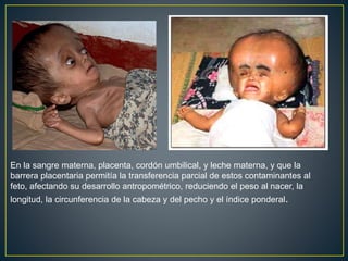 En la sangre materna, placenta, cordón umbilical, y leche materna, y que la
barrera placentaria permitía la transferencia parcial de estos contaminantes al
feto, afectando su desarrollo antropométrico, reduciendo el peso al nacer, la
longitud, la circunferencia de la cabeza y del pecho y el índice ponderal.
 
