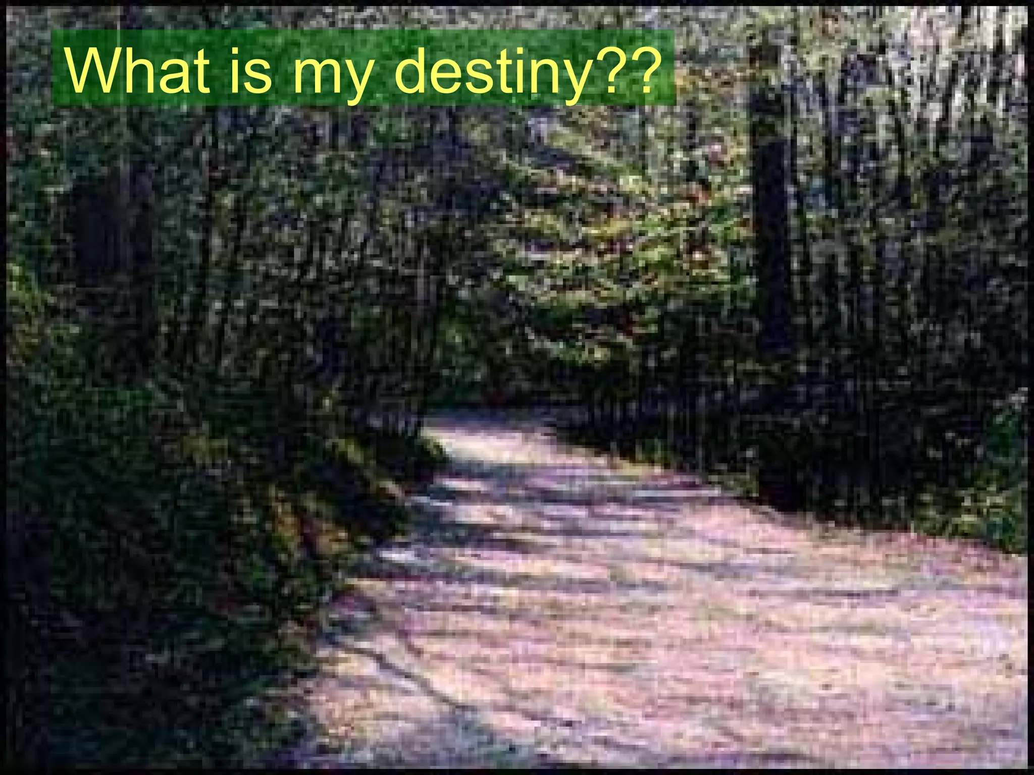What is my destiny?? 