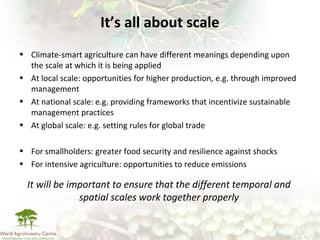 Making climate-smart agriculture must work for the poor