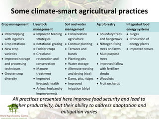 Making climate-smart agriculture must work for the poor