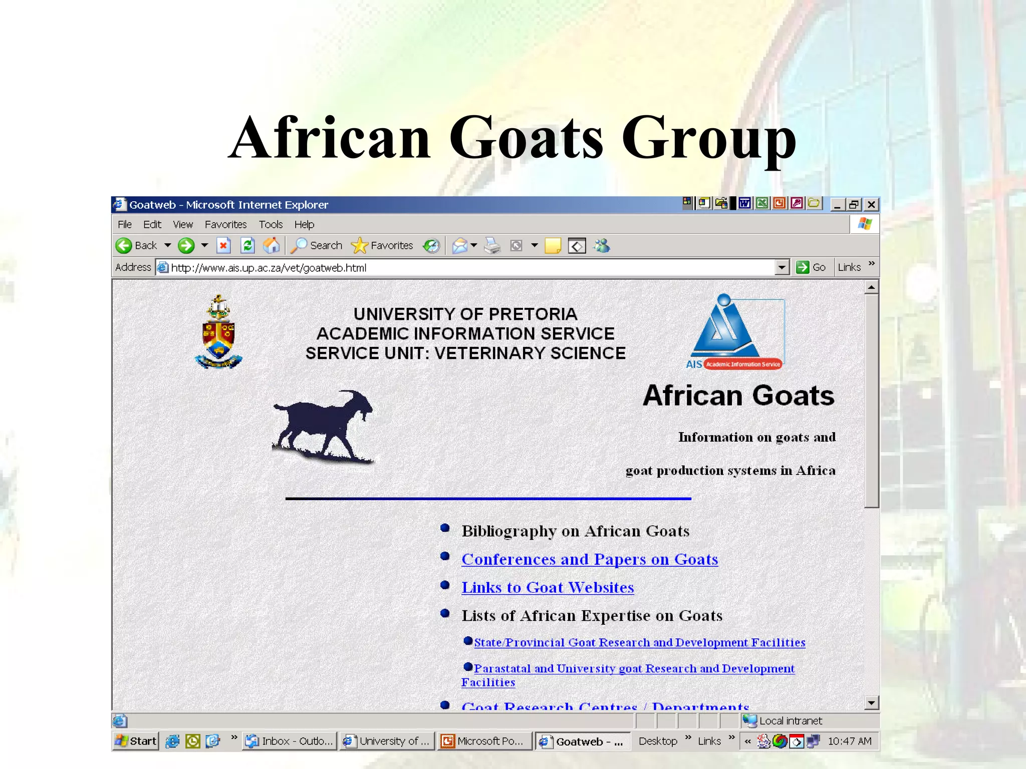 African Goats Group

 