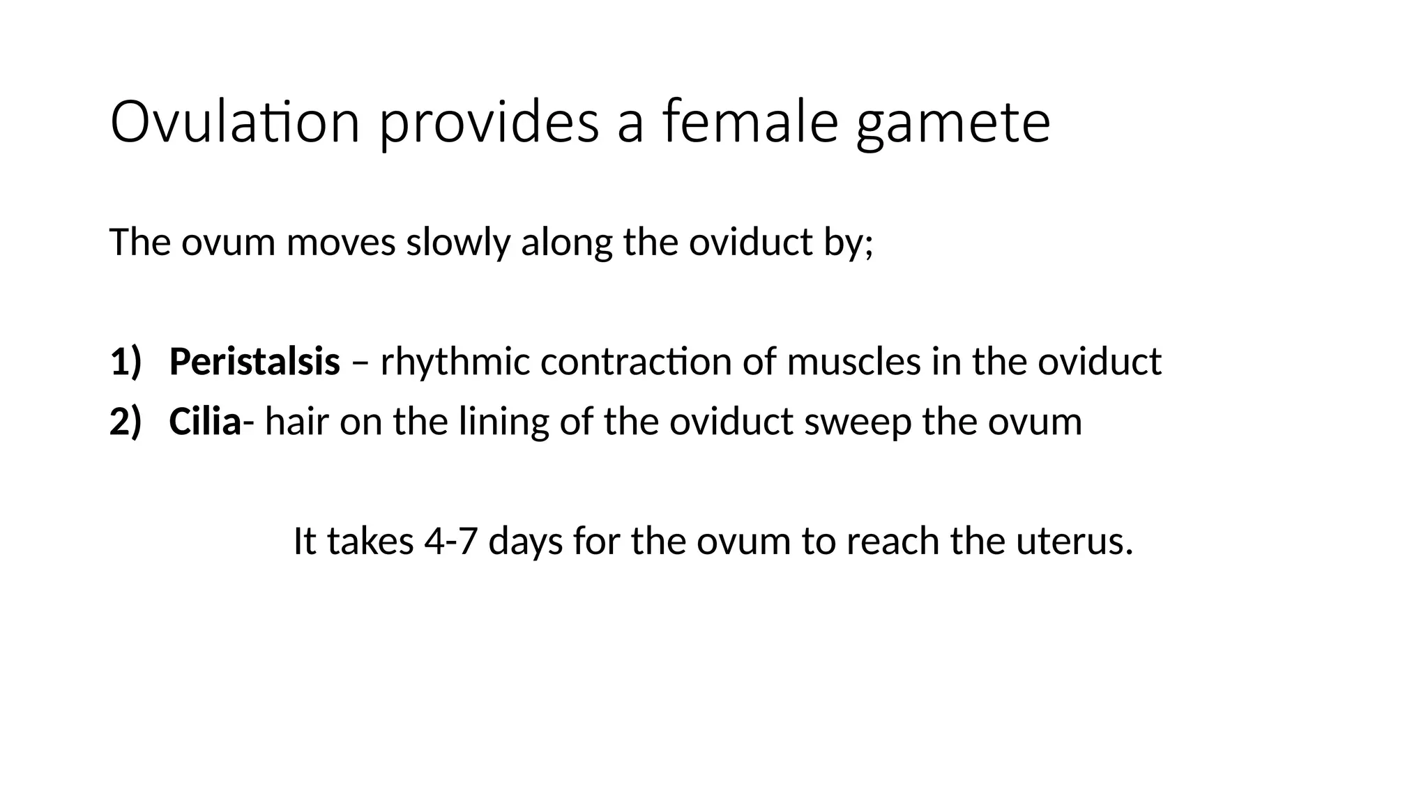 Ovulation provides a female gamete
The ovum moves slowly along the oviduct by;
1) Peristalsis – rhythmic contraction of muscles in the oviduct
2) Cilia- hair on the lining of the oviduct sweep the ovum
It takes 4-7 days for the ovum to reach the uterus.